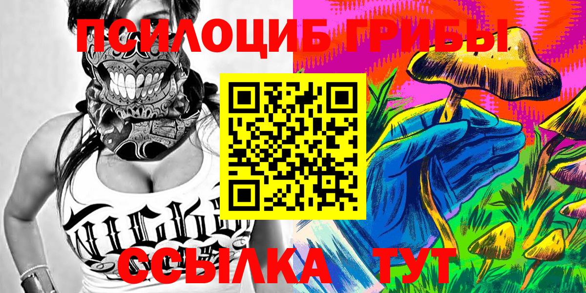 Видное  Галлюциногенные грибы мицелий  Вход с VPN 