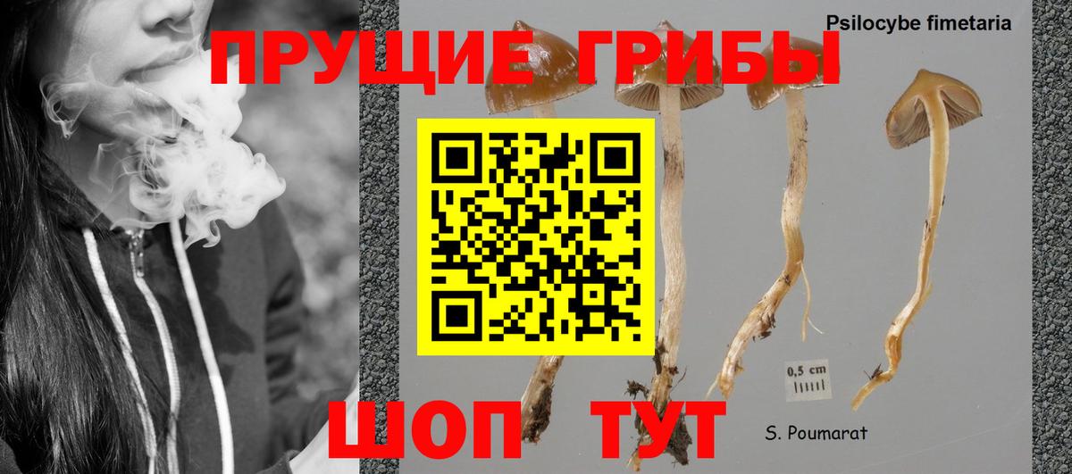 Галлюциногенные грибы мицелий Видное